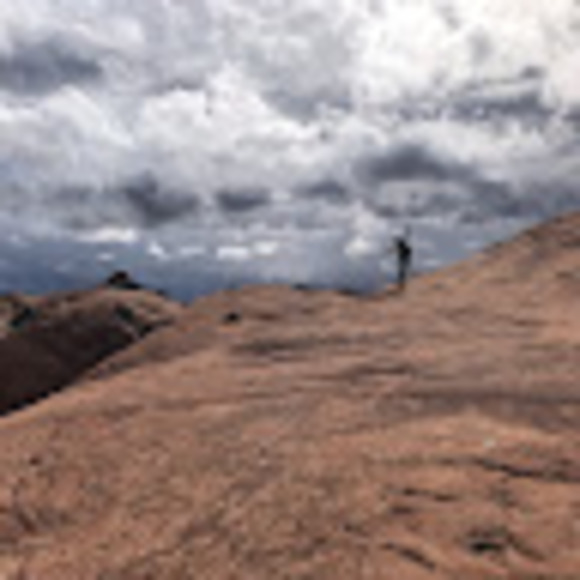 Meet your Posher, Jessie - Picture 1 of 1